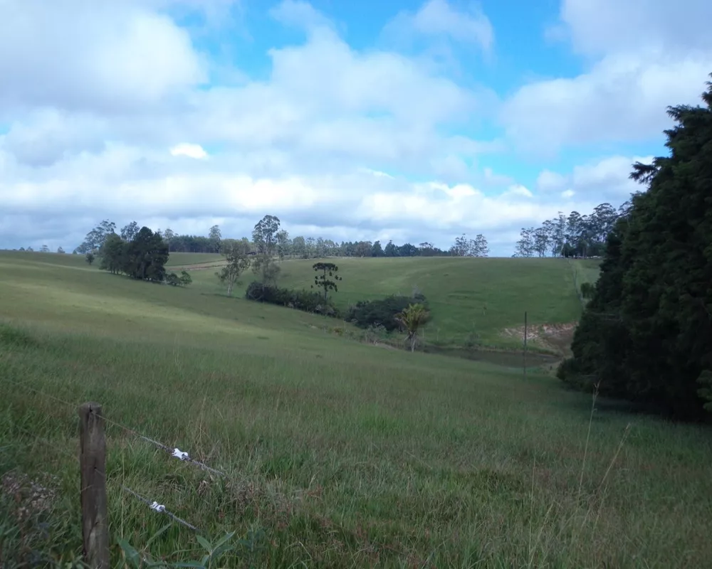 Fazenda - Foto 32