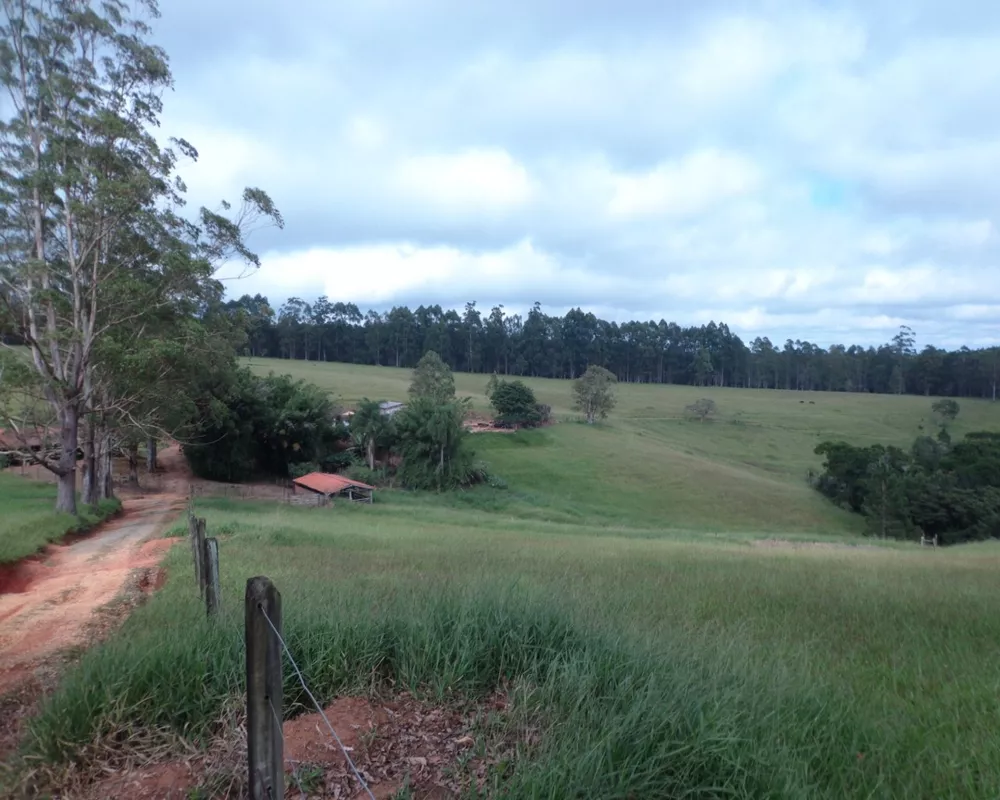 Fazenda - Foto 3