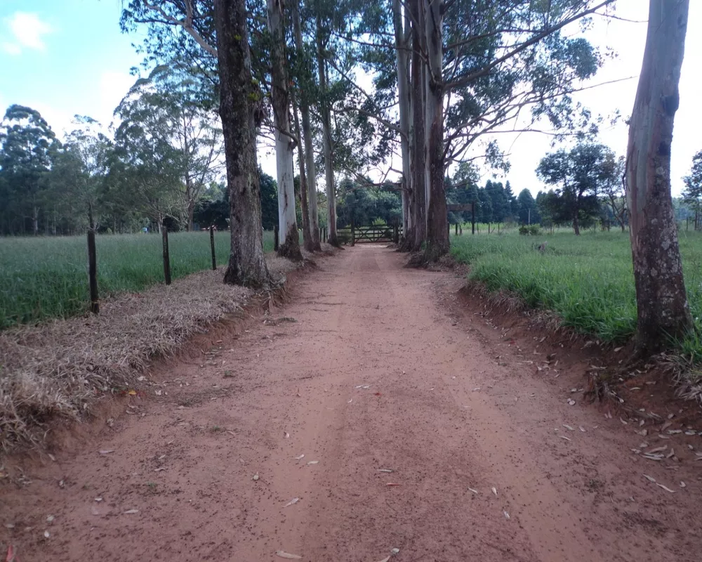 Fazenda - Foto 10