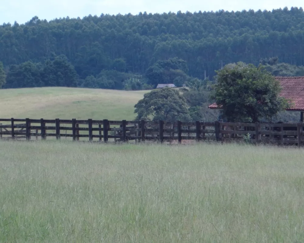 Fazenda - Foto 20