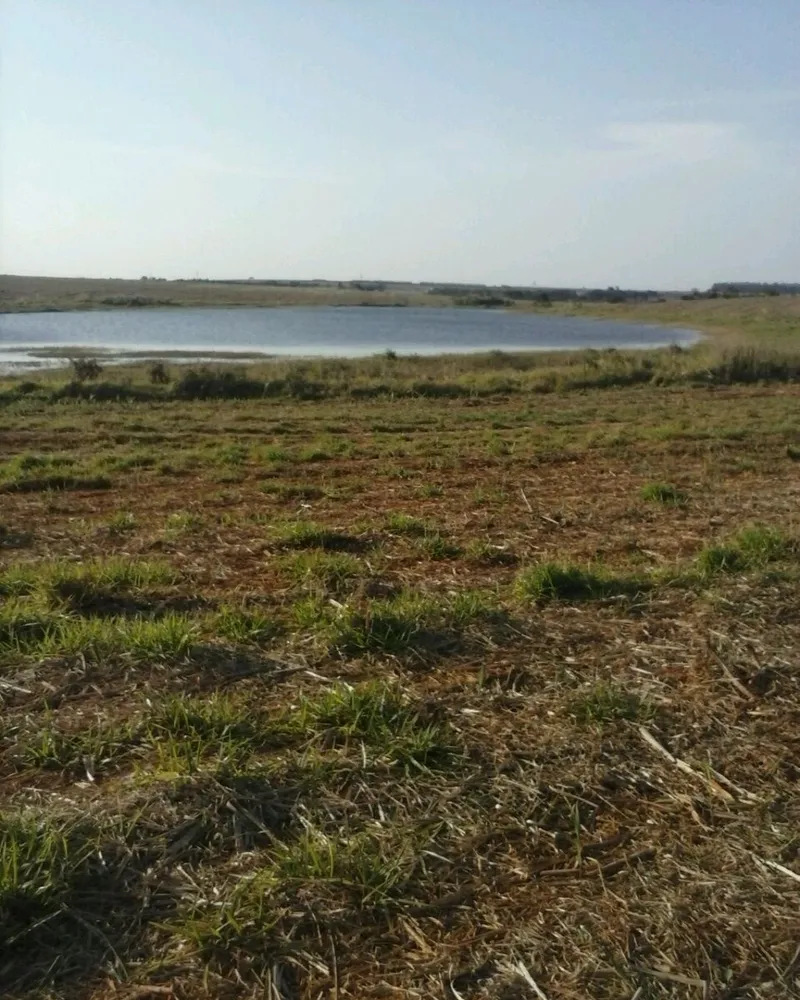 Fazenda - Foto 5
