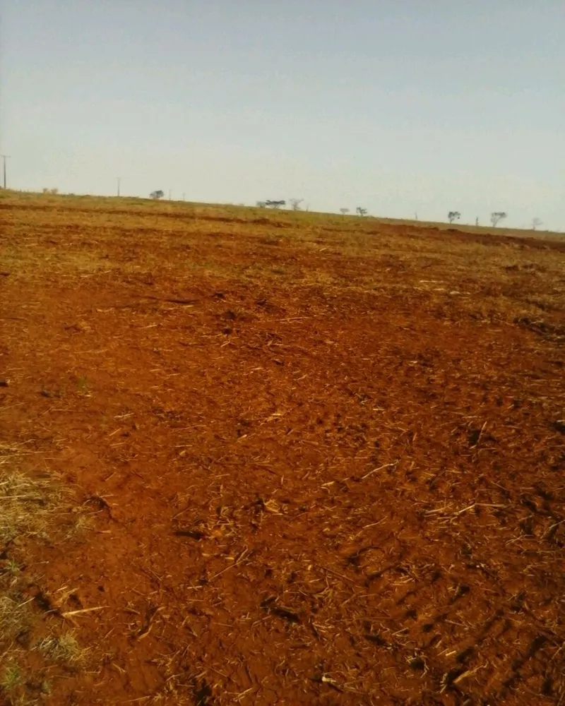 Fazenda - Foto 6