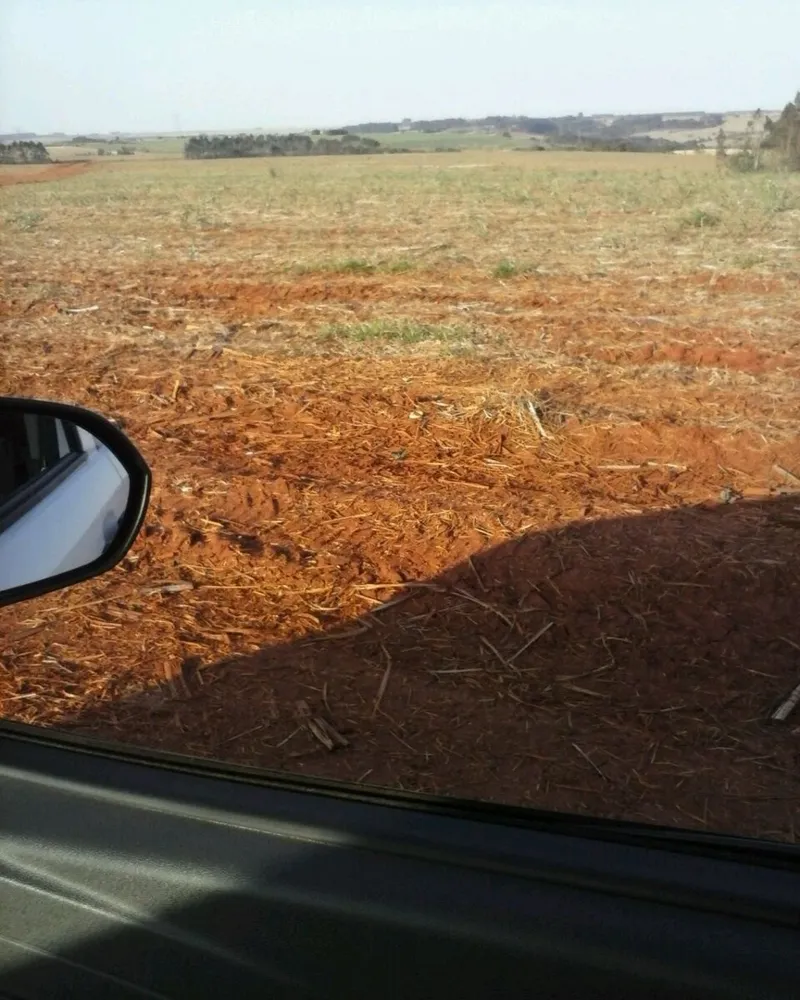 Fazenda - Foto 4