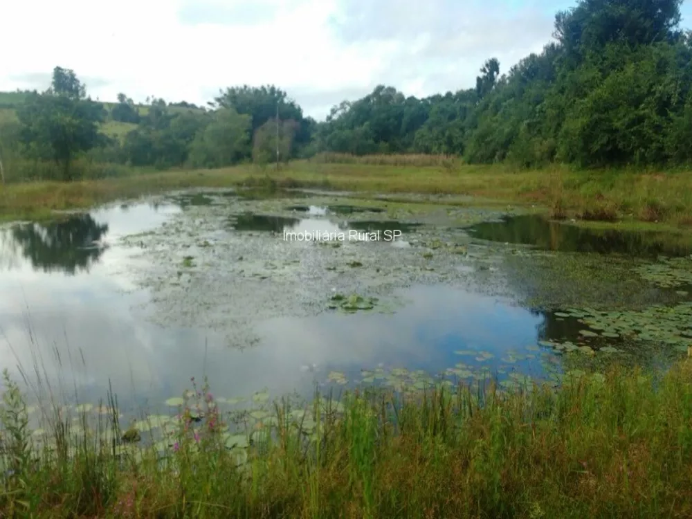 Sítio, 3 quartos - Foto 9