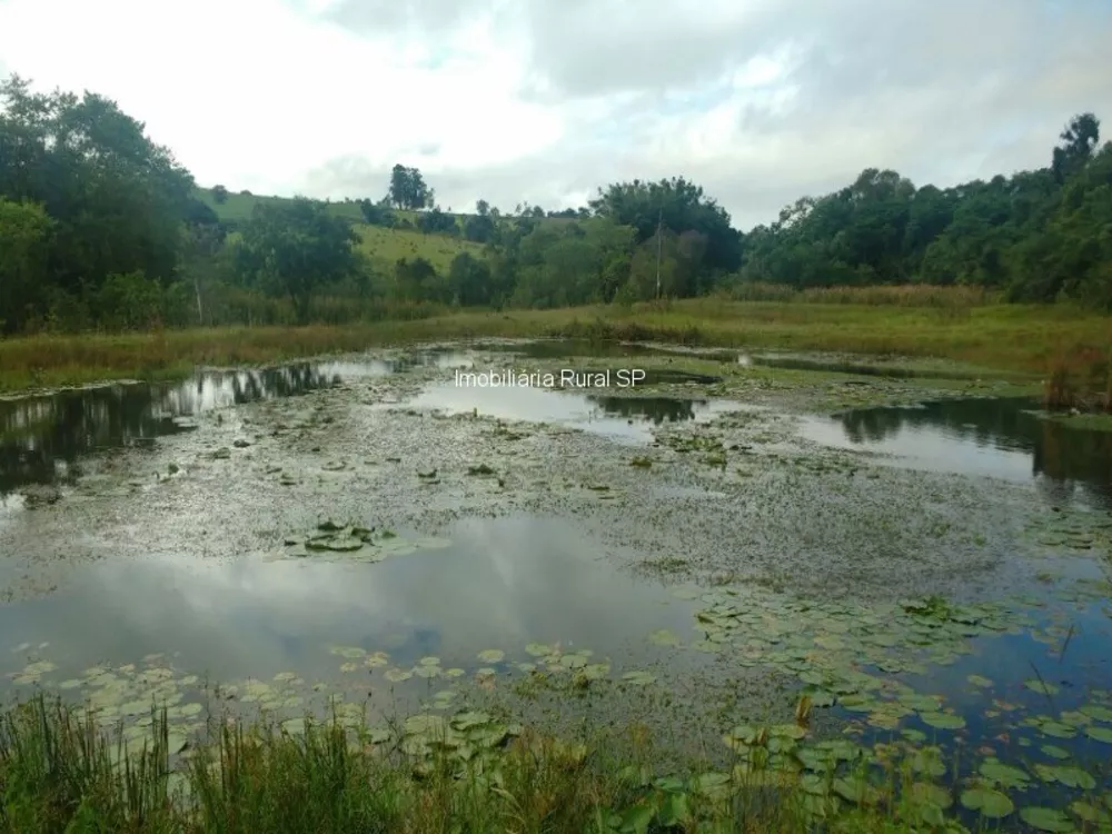 Sítio, 3 quartos - Foto 1