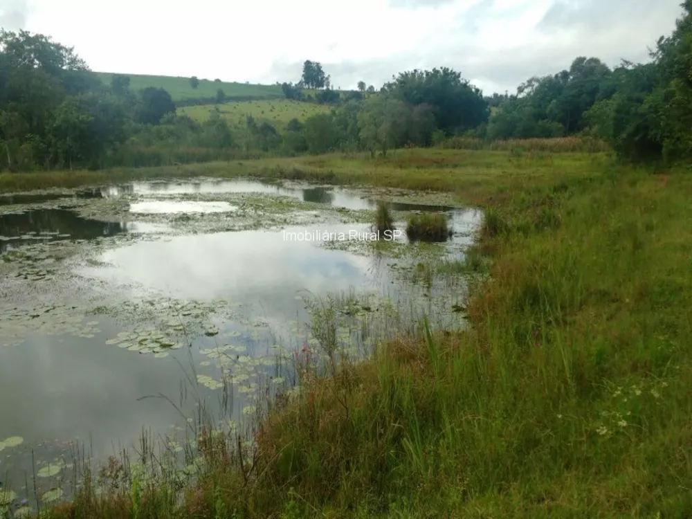 Sítio, 3 quartos - Foto 8