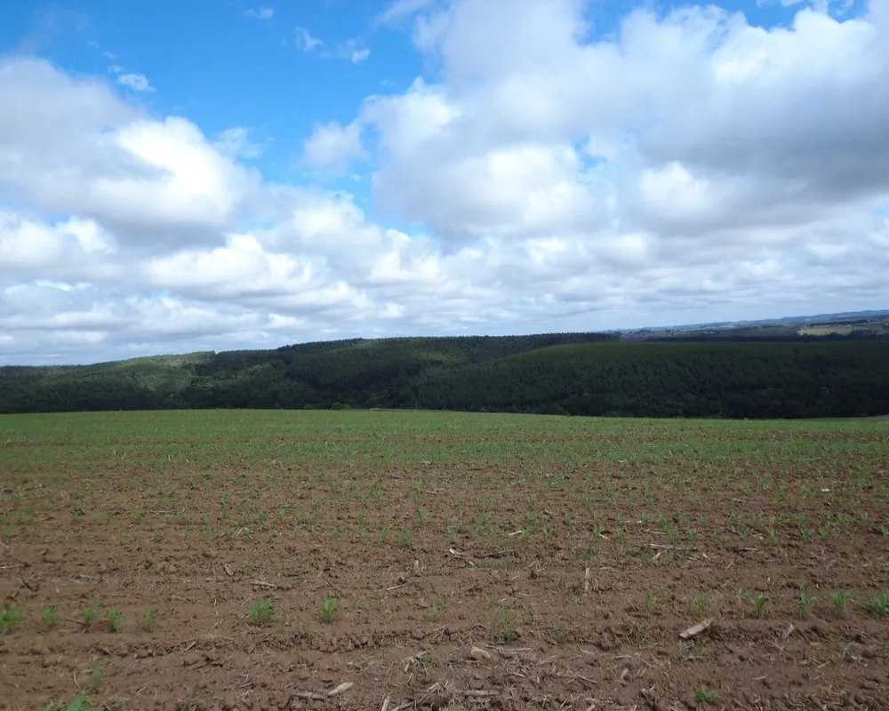 Fazenda - Foto 8