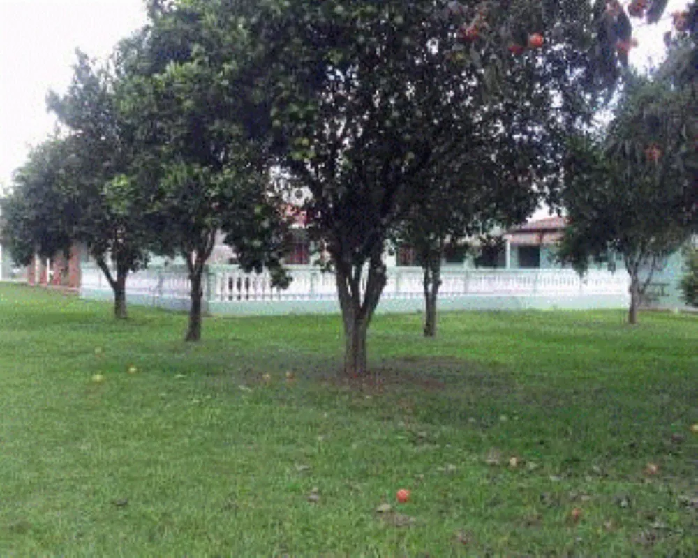 Chácara - Foto 6