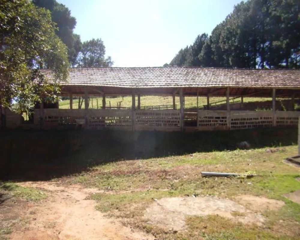 Sítio - Foto 6