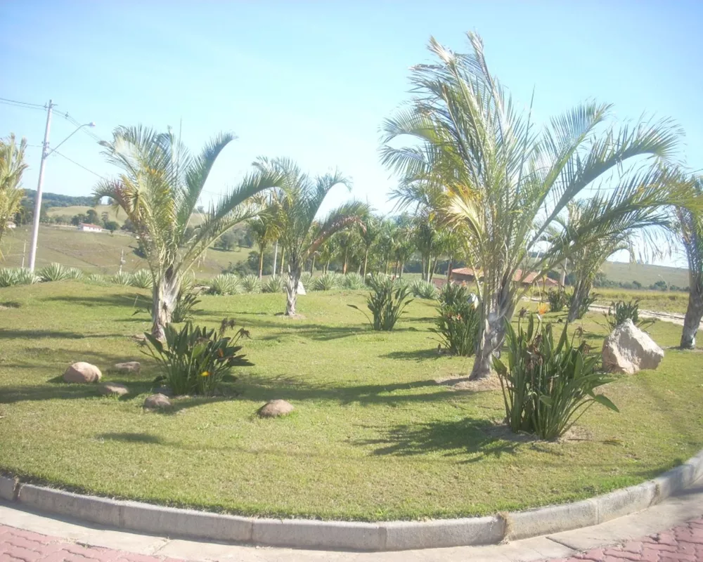 Terreno, 250 m² - Foto 1