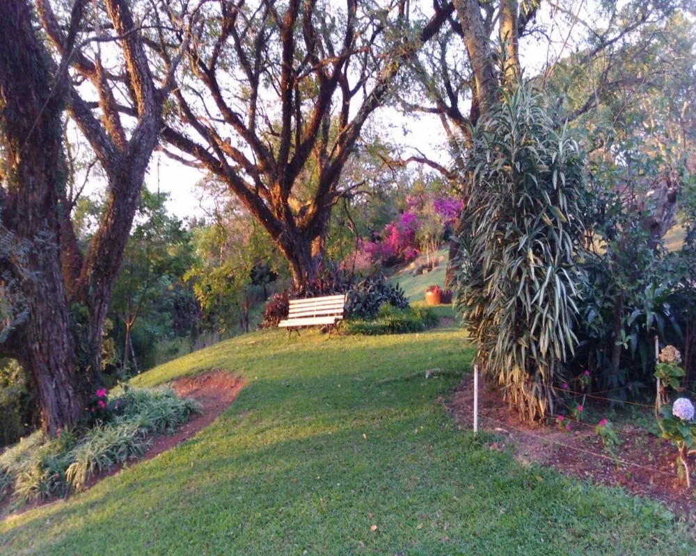 Fazenda - Foto 3