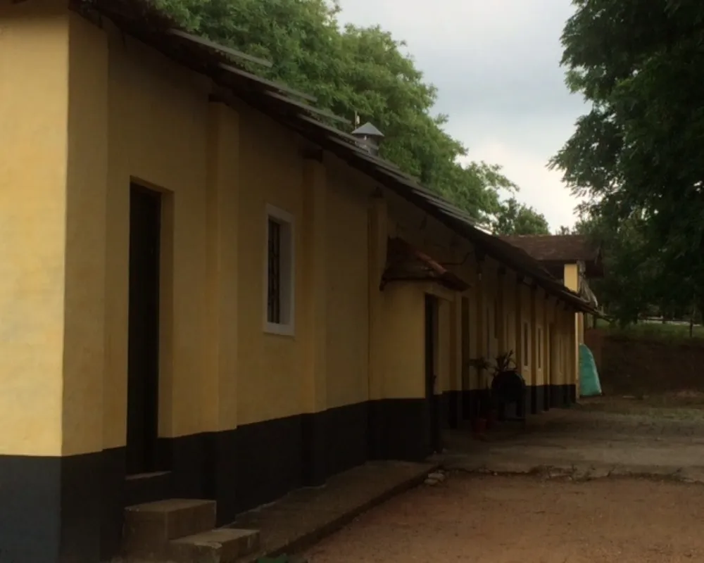 Fazenda - Foto 6