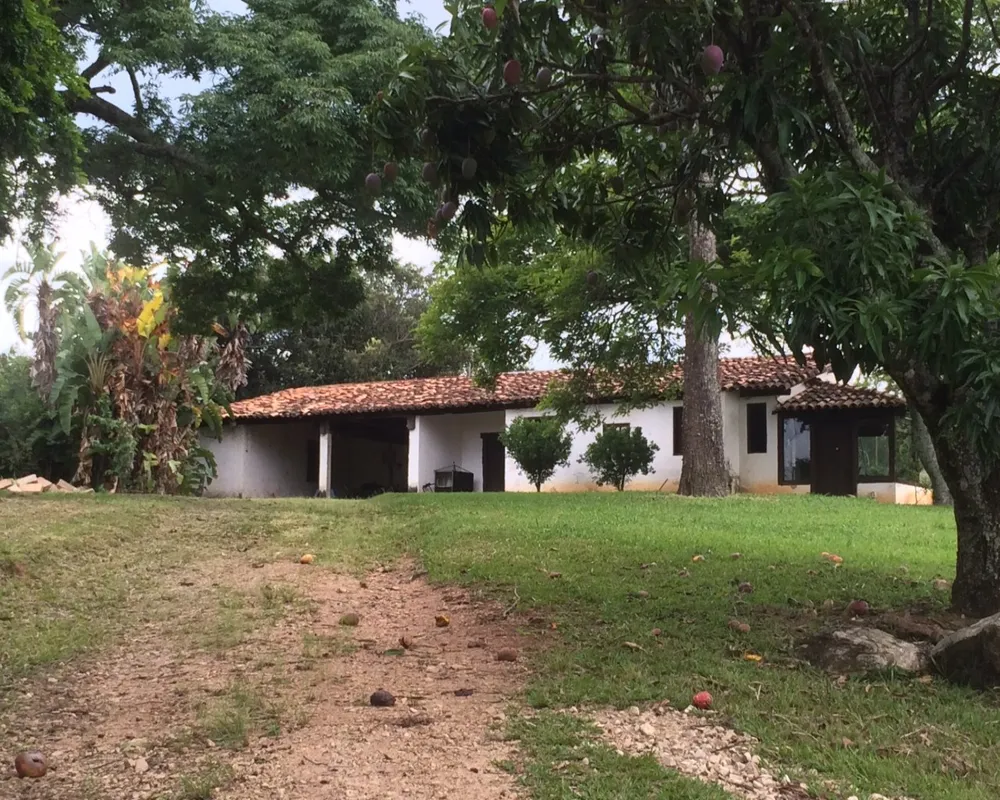 Fazenda - Foto 8