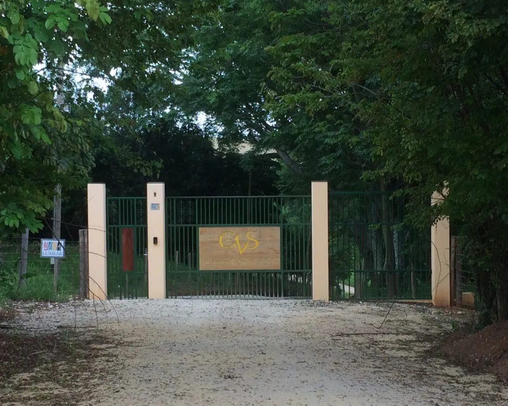 Fazenda - Foto 5