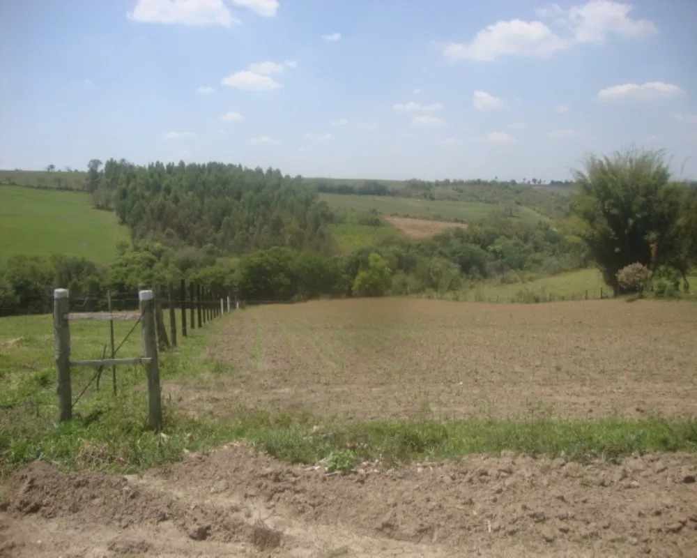 Sítio - Foto 5