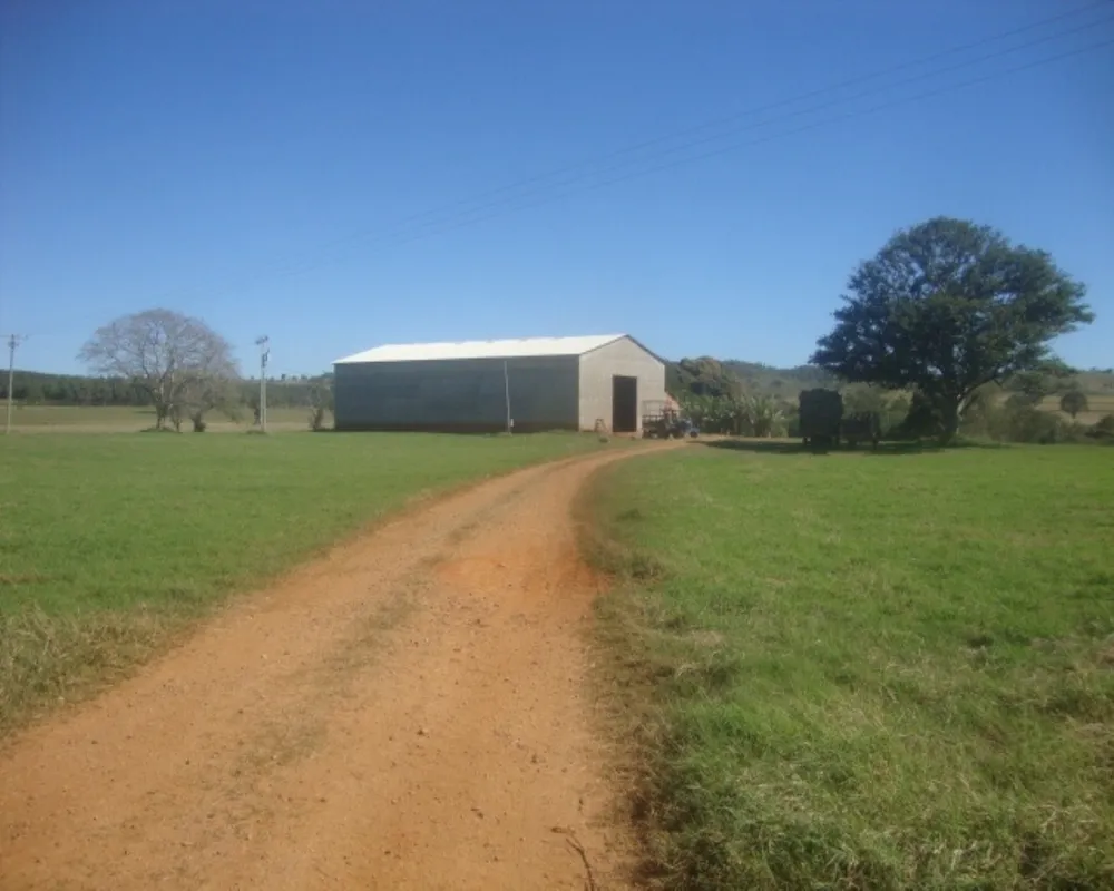 Fazenda - Foto 2