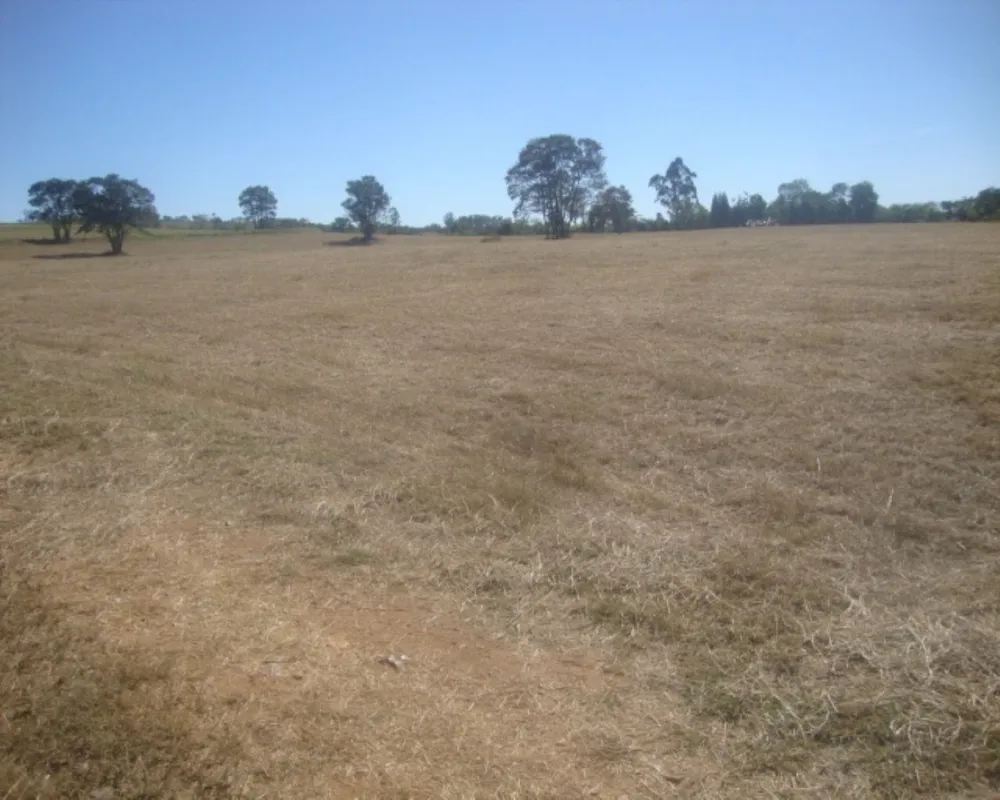 Fazenda - Foto 5