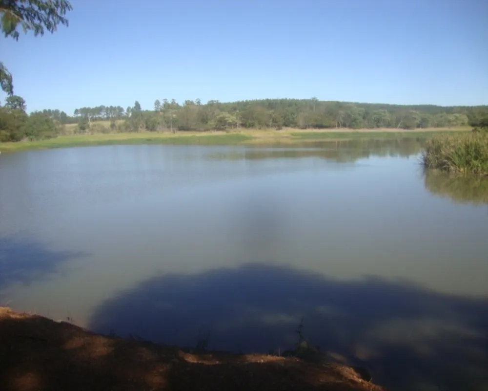Fazenda - Foto 1