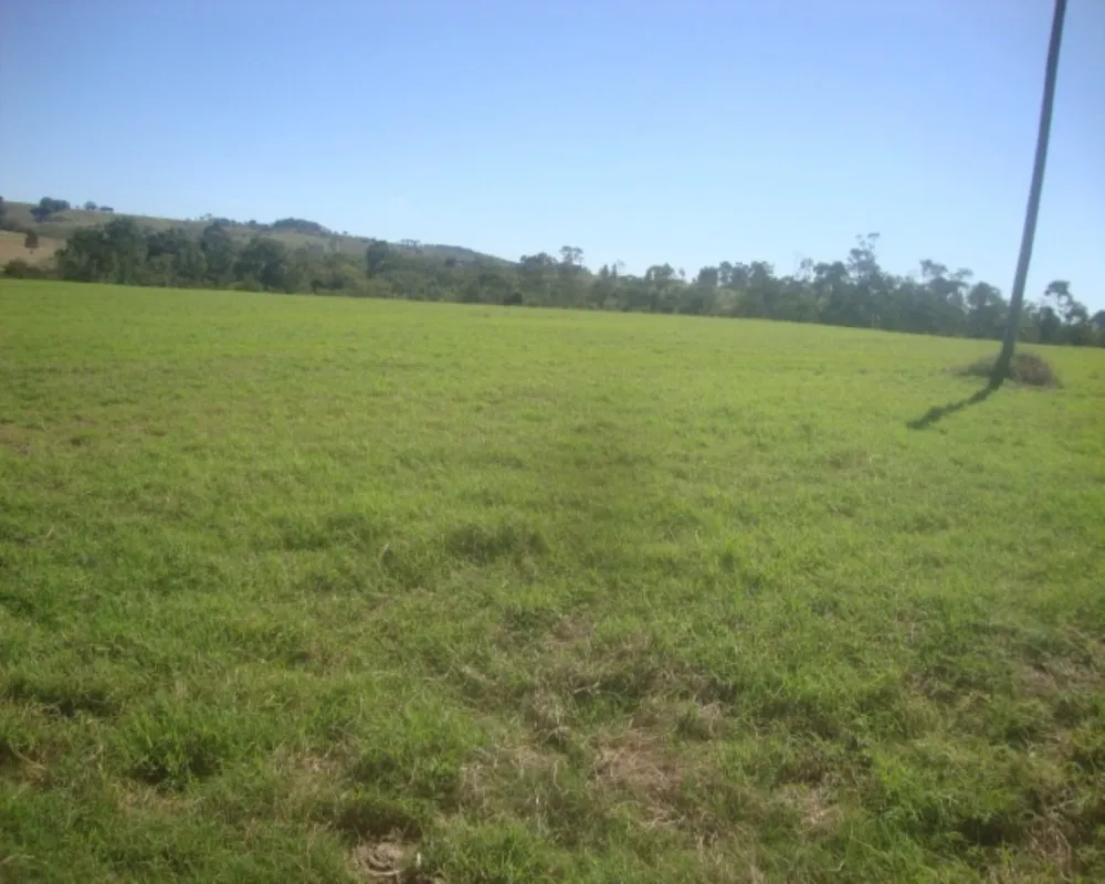 Fazenda - Foto 3