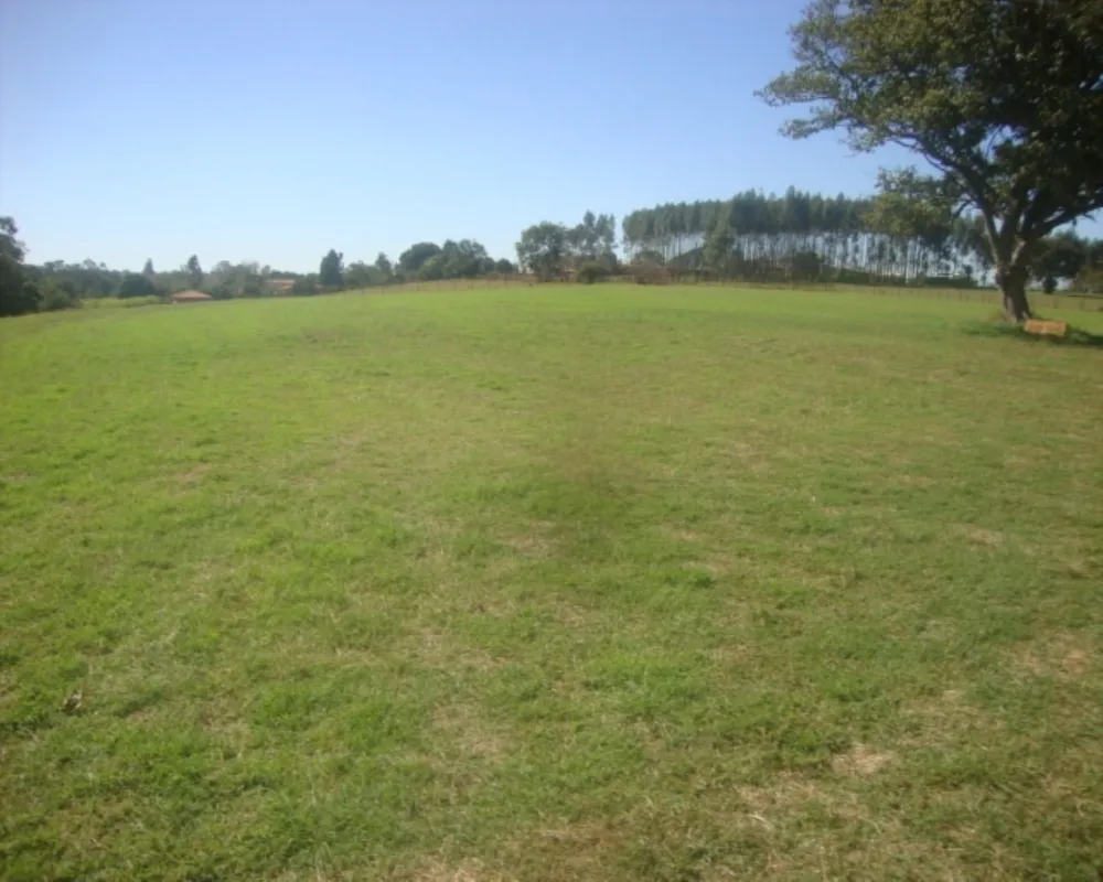 Fazenda - Foto 8