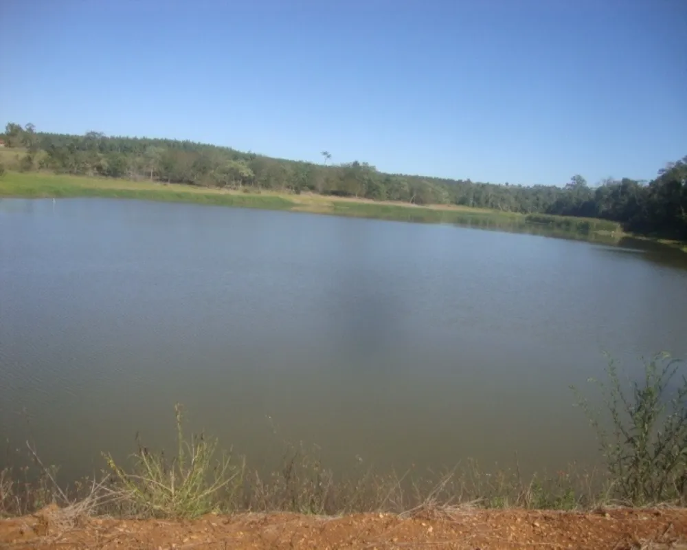 Fazenda - Foto 6