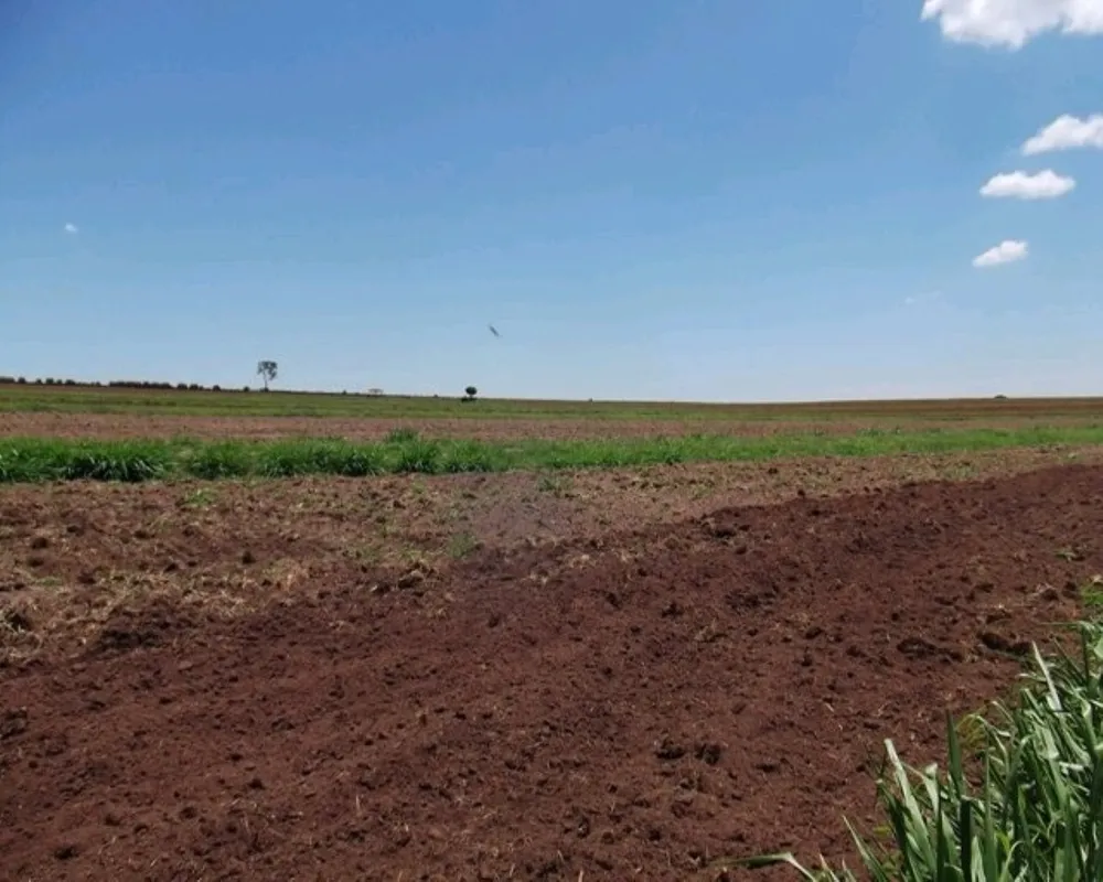 Fazenda - Foto 8