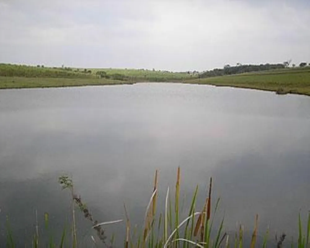 Fazenda - Foto 7