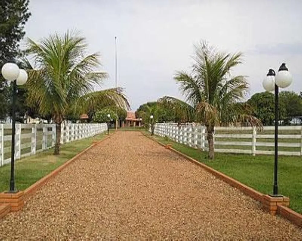 Fazenda - Foto 1