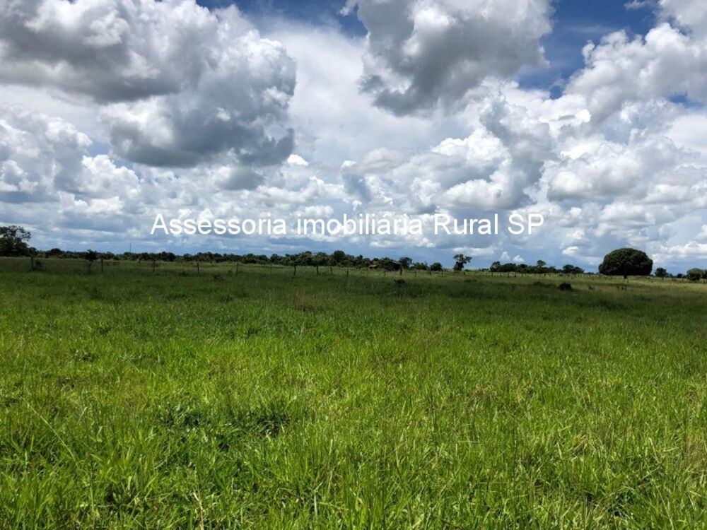 Fazenda à venda - Foto 1