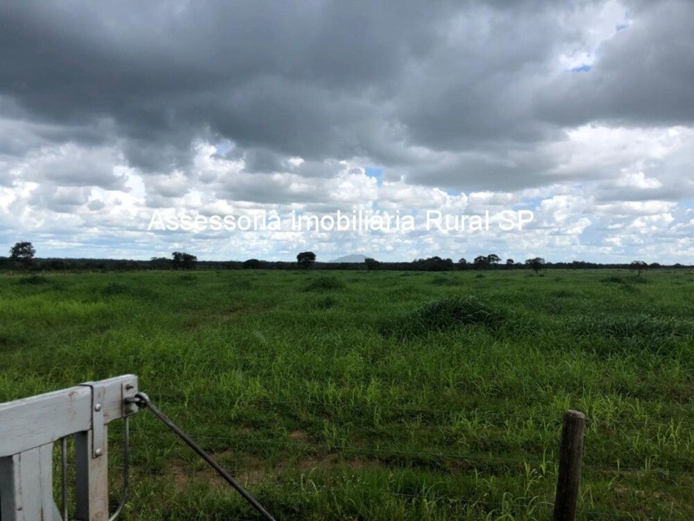 Fazenda à venda - Foto 3