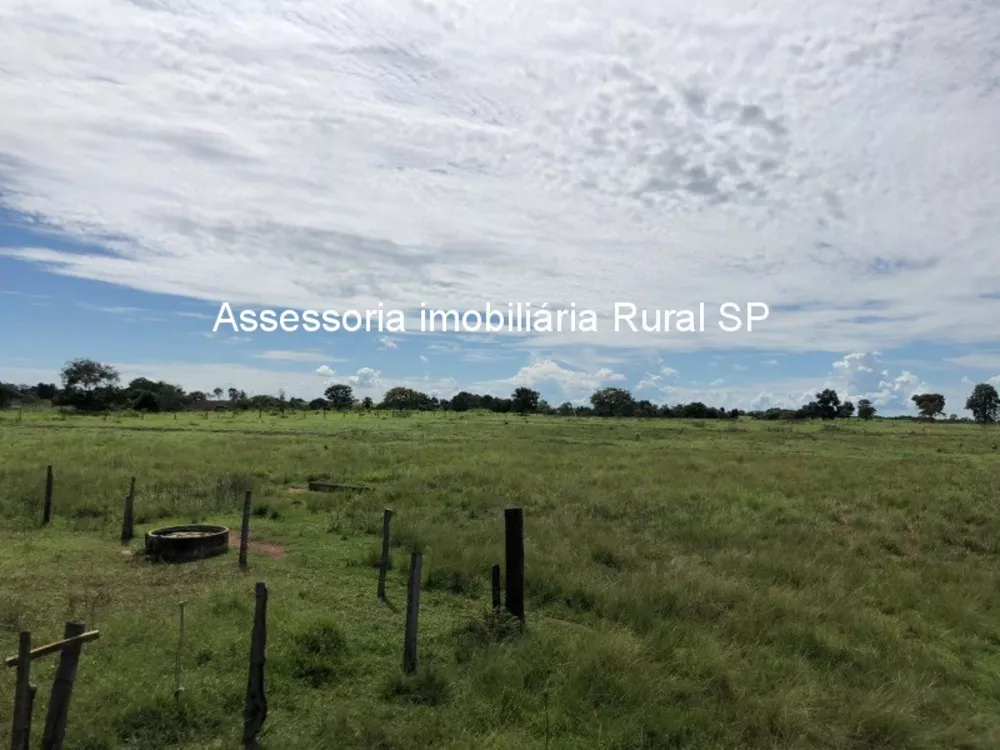 Fazenda - Foto 21