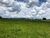 Fazenda-Sítio-Chácara - Foto 1