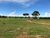 Fazenda-Sítio-Chácara - Foto 8