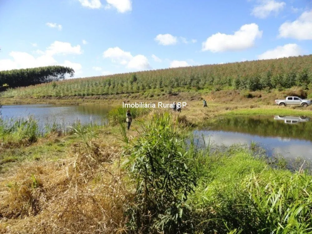 Fazenda - Foto 5