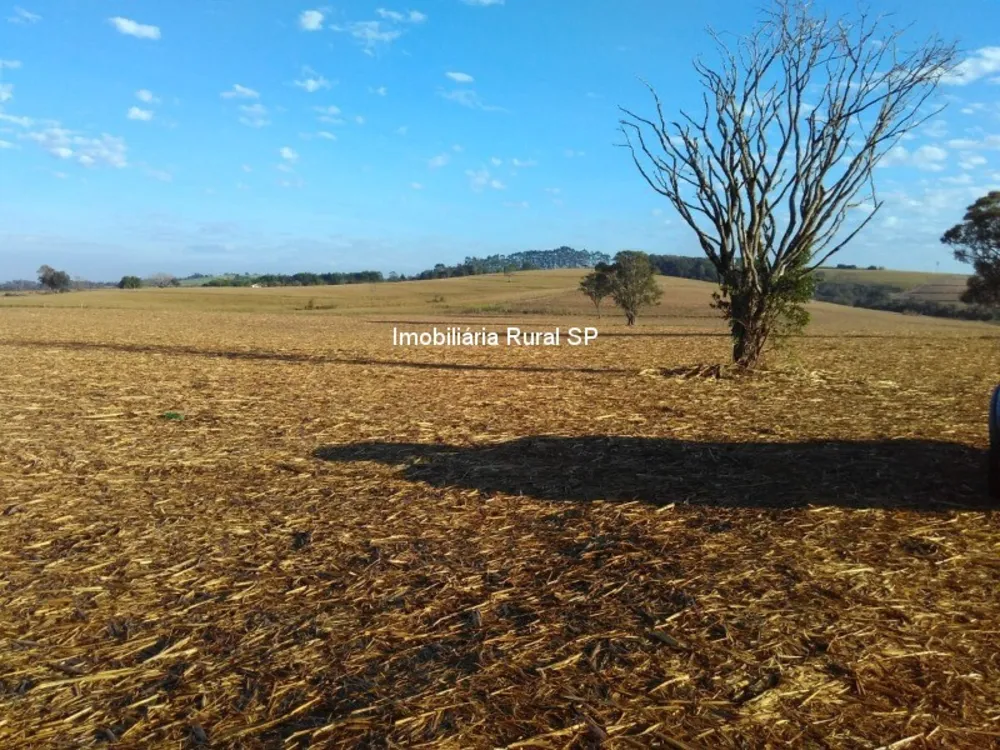 Fazenda - Foto 1