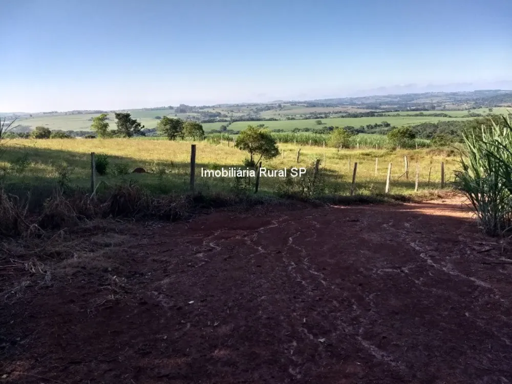 Fazenda - Foto 8