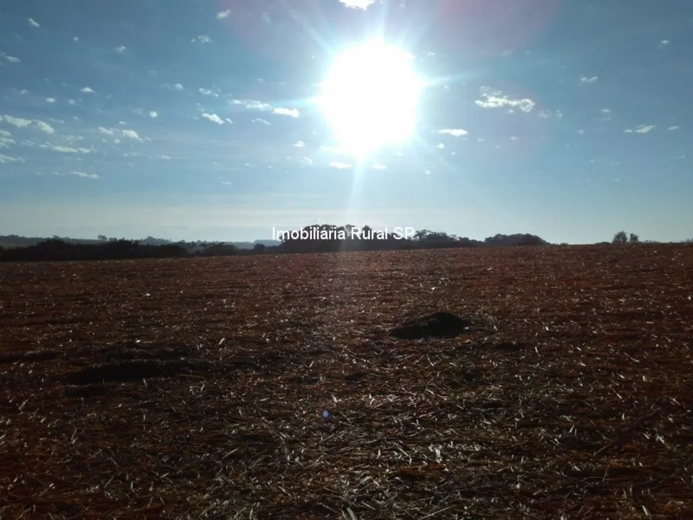 Fazenda - Foto 7