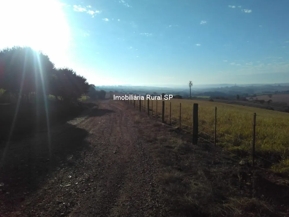 Fazenda - Foto 6
