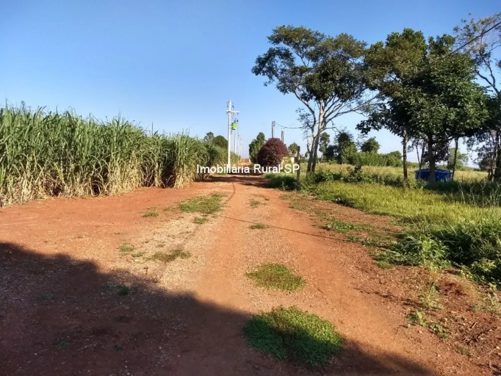 Fazenda - Foto 3