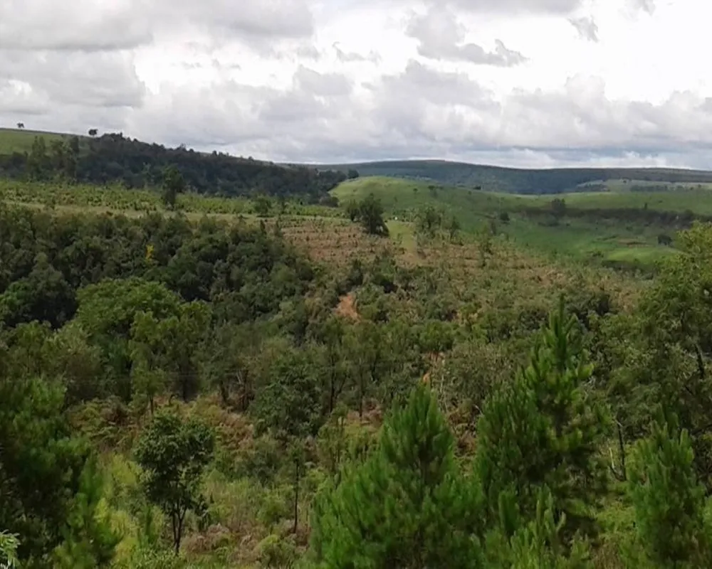 Fazenda - Foto 2