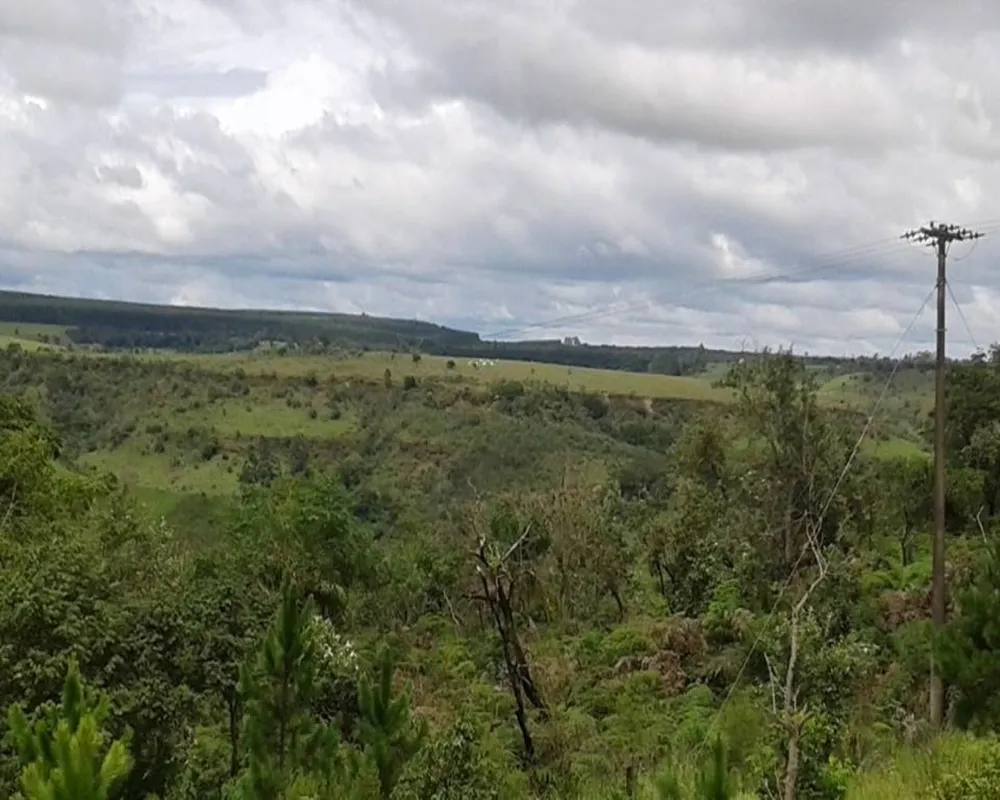 Fazenda - Foto 6