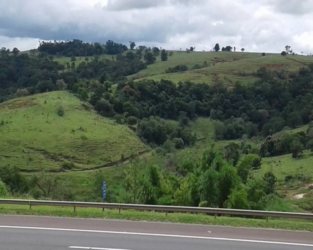 Fazenda - Foto 4