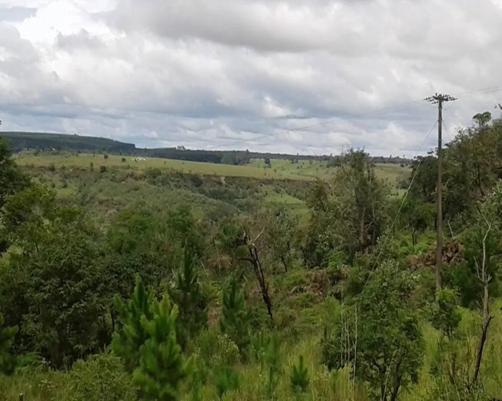 Fazenda - Foto 3