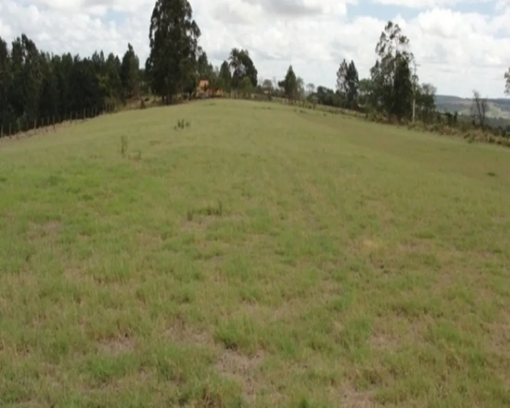 Fazenda - Foto 5