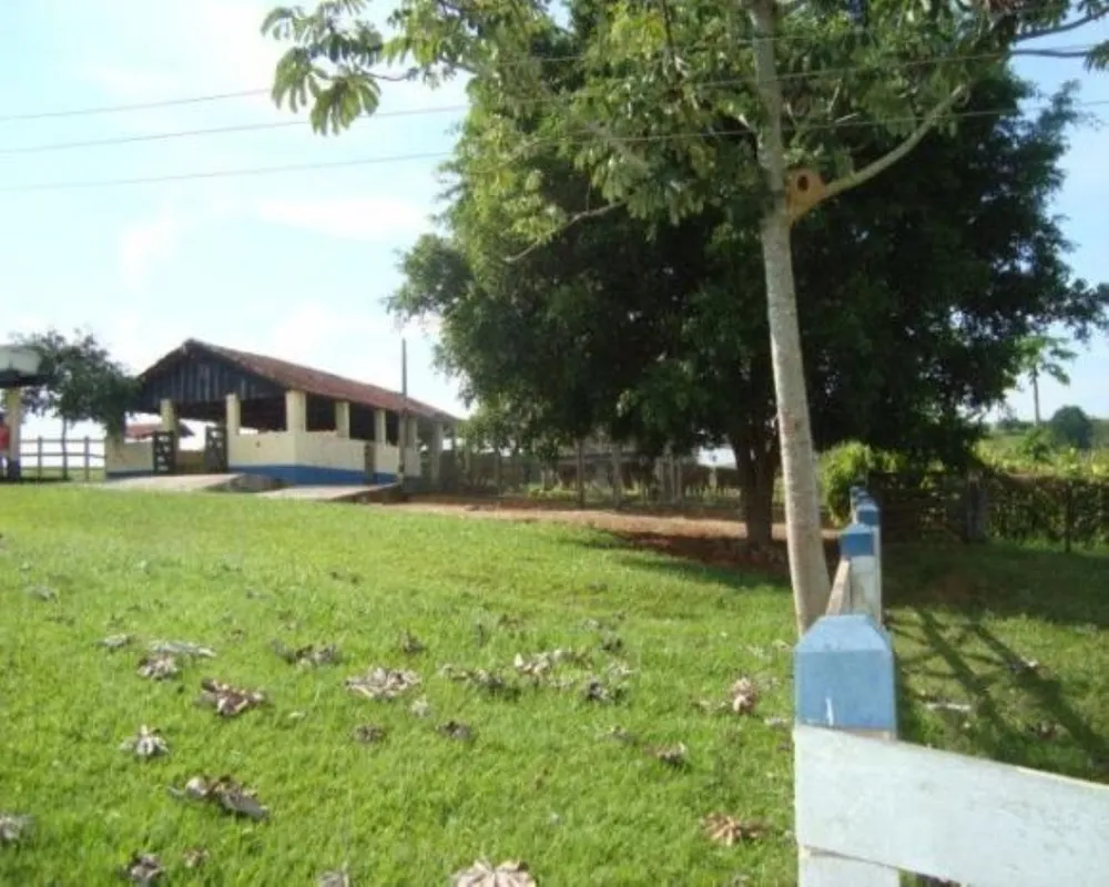 Fazenda - Foto 7
