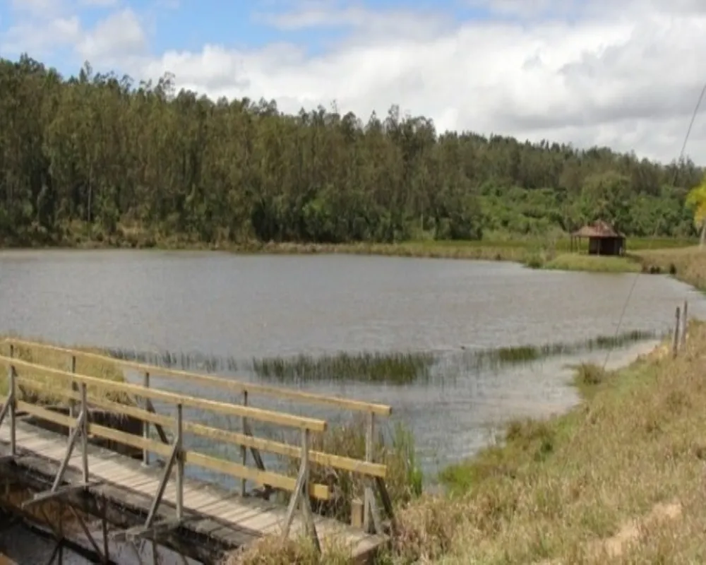 Fazenda - Foto 6