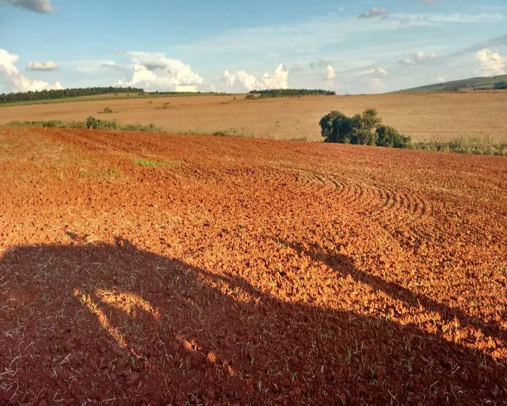 Fazenda - Foto 8