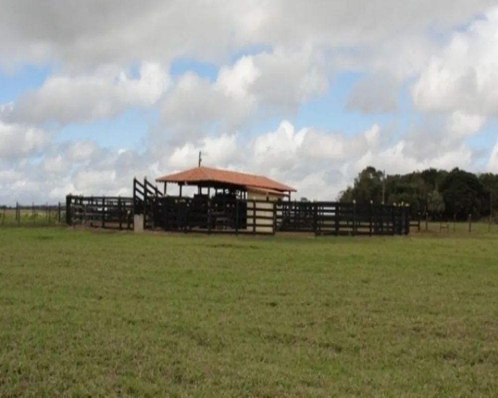 Fazenda - Foto 2