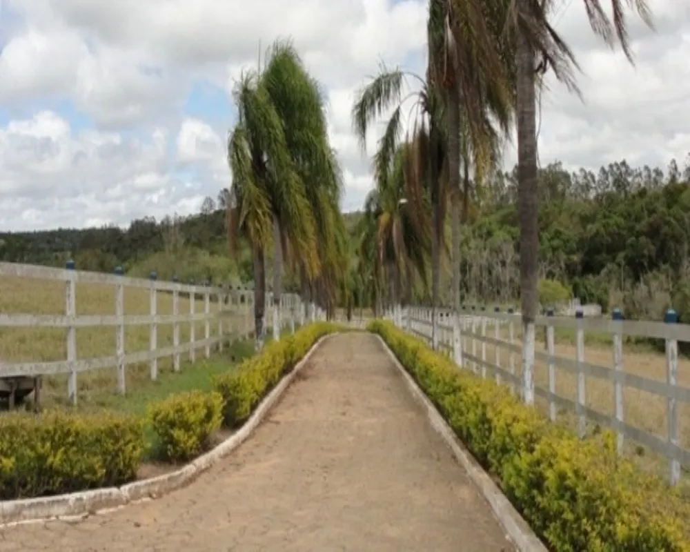 Fazenda - Foto 1