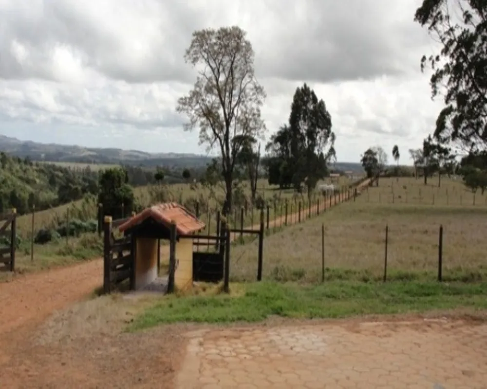 Fazenda - Foto 4